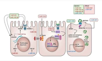 Wiley Online Library