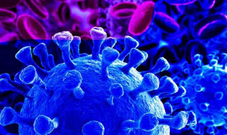 Recomendaciones generales