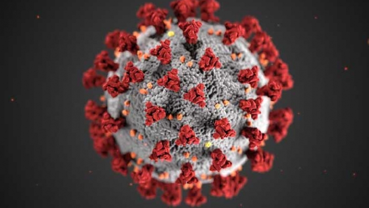 Coronavirus SARS-CoV-2 - COVID-19